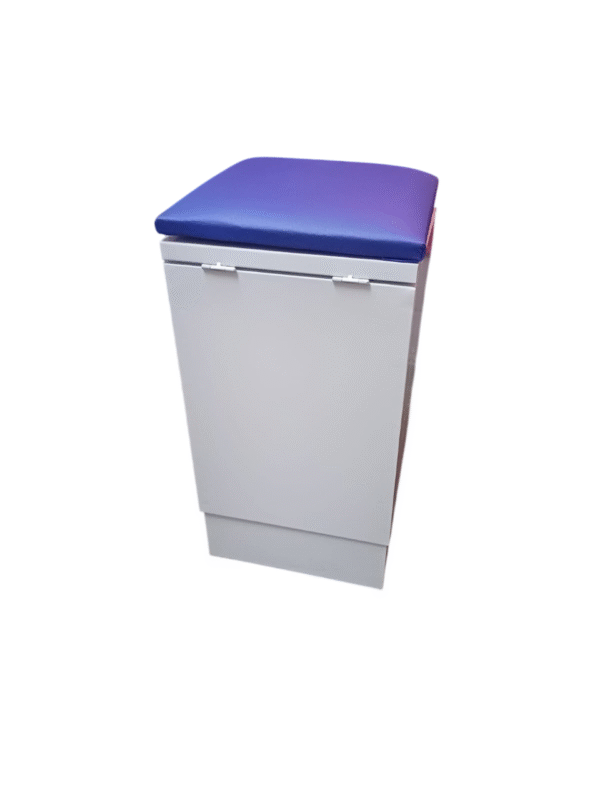 WhatsApp Image 2025-06-14 at 2.09.51 PM (1)-Photoroom Bote banco médico tapizado